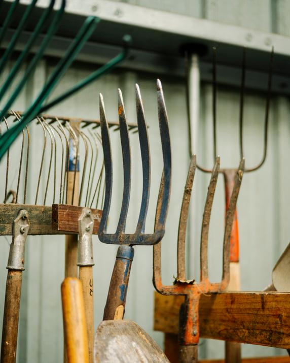 Le hangar des jardiniers municipaux, à Montreuil (Seine-Saint-Denis), le 26 janvier 2026.