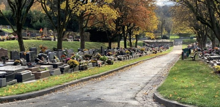 "Les familles viennent s'y promener" : le surprenant succès des cimetières, nouveaux havres anticanicule