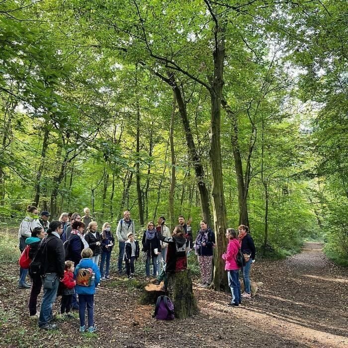 Balade botanique et poétique au Lac de Saint Mandé, par Flora Delalande